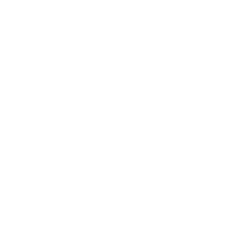 Falcon Outline